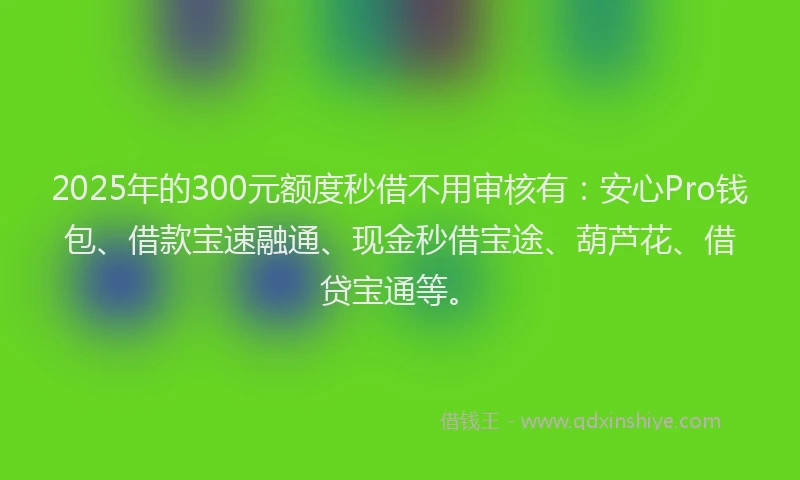 2025年的300元额度秒借不用审核有：安心Pro钱包、借款宝速融通、现金秒借宝途、葫芦花、借贷宝通等。