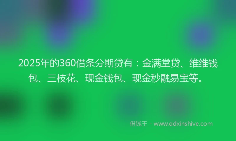 2025年的360借条分期贷有：金满堂贷、维维钱包、三枝花、现金钱包、现金秒融易宝等。