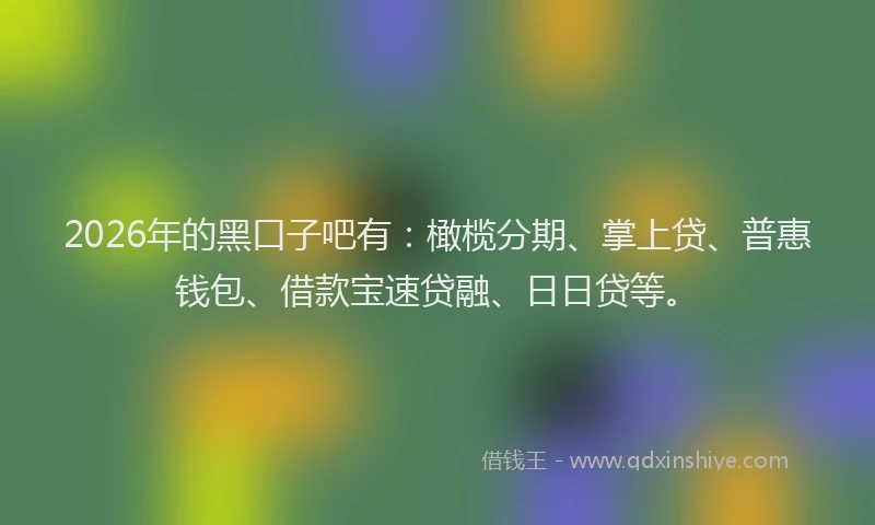 2026年的黑口子吧有：橄榄分期、掌上贷、普惠钱包、借款宝速贷融、日日贷等。