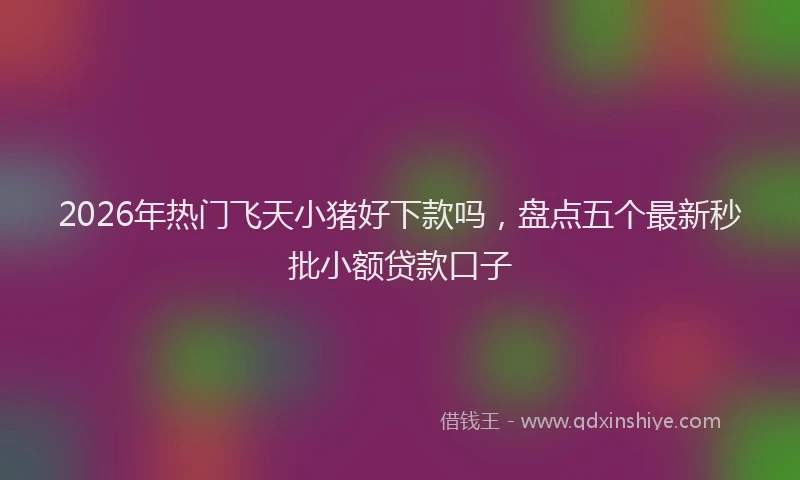 2026年热门飞天小猪好下款吗，盘点五个最新秒批小额贷款口子