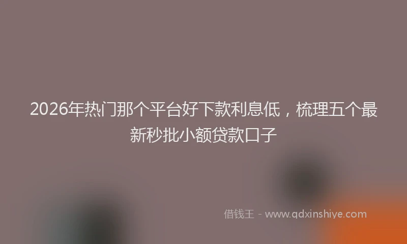 2026年热门那个平台好下款利息低，梳理五个最新秒批小额贷款口子