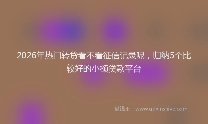 2026年热门转贷看不看征信记录呢,归纳5个比较好的小额贷款平台