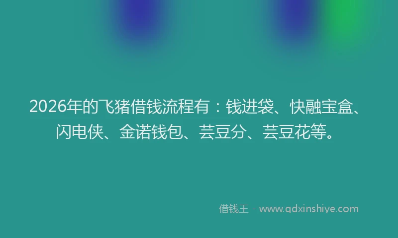 2026年的飞猪借钱流程有：钱进袋、快融宝盒、闪电侠、金诺钱包、芸豆分、芸豆花等。