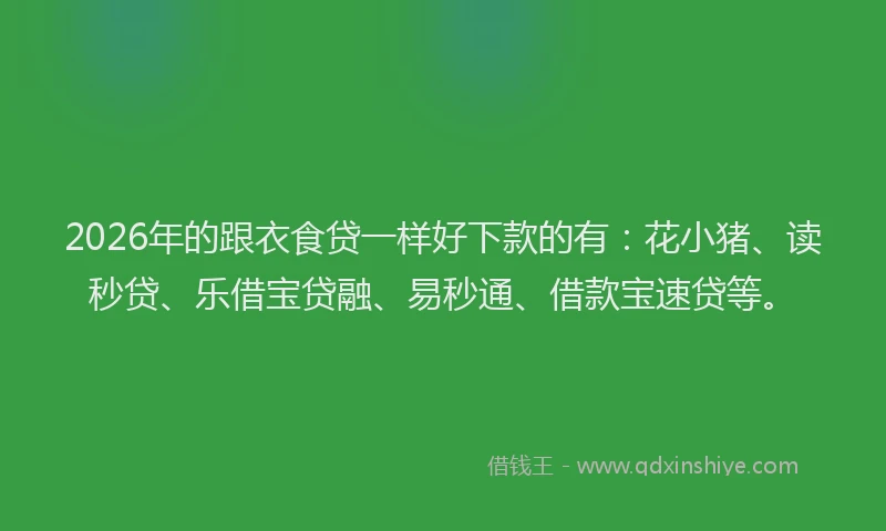 2026年的跟衣食贷一样好下款的有：花小猪、读秒贷、乐借宝贷融、易秒通、借款宝速贷等。