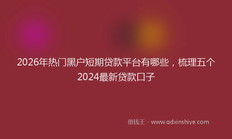 2026年热门黑户短期贷款平台有哪些，梳理五个2024最新贷款口子
