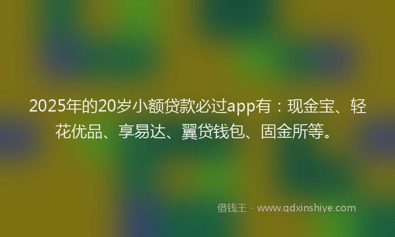 2025年的20岁小额贷款必过app有：现金宝、轻花优品、享易达、翼贷钱包、固金所等。
