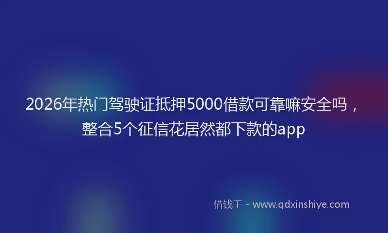 2026年热门驾驶证抵押5000借款可靠嘛安全吗，整合5个征信花居然都下款的app