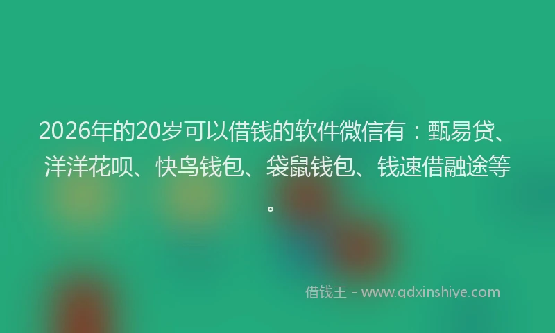 2026年的20岁可以借钱的软件微信有：甄易贷、洋洋花呗、快鸟钱包、袋鼠钱包、钱速借融途等。