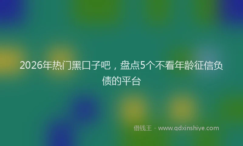 2026年热门黑口子吧，盘点5个不看年龄征信负债的平台