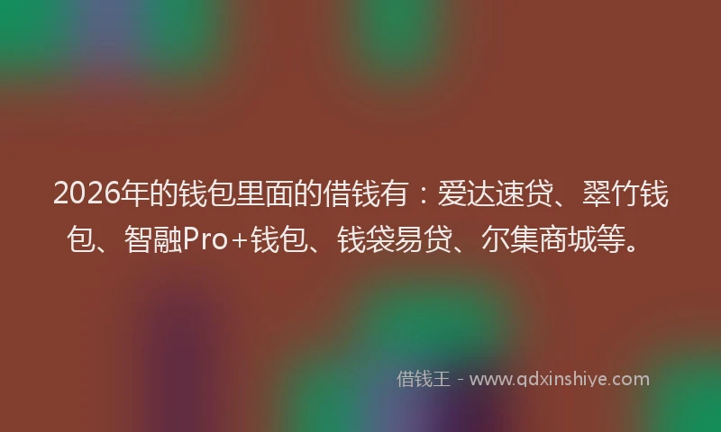 2026年的钱包里面的借钱有：爱达速贷、翠竹钱包、智融Pro+钱包、钱袋易贷、尔集商城等。