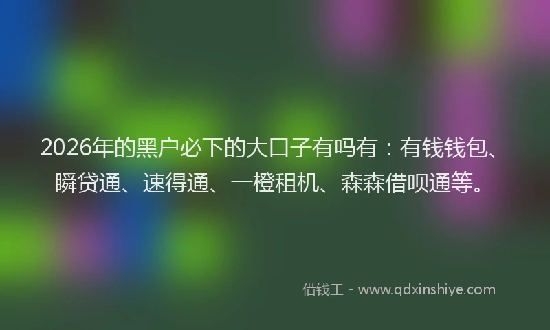 2026年的黑户必下的大口子有吗有：有钱钱包、瞬贷通、速得通、一橙租机、森森借呗通等。