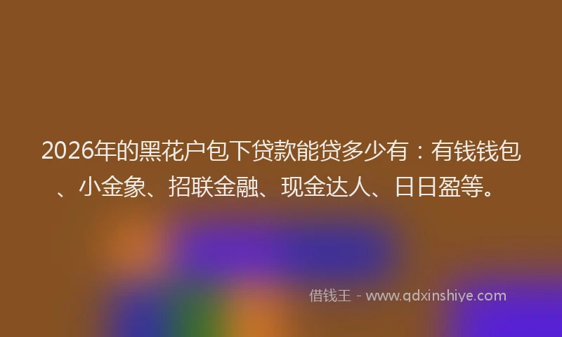 2026年的黑花户包下贷款能贷多少有：有钱钱包、小金象、招联金融、现金达人、日日盈等。