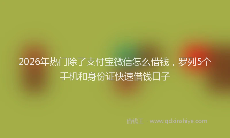 2026年热门除了支付宝微信怎么借钱，罗列5个手机和身份证快速借钱口子