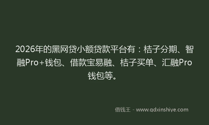 2026年的黑网贷小额贷款平台有：桔子分期、智融Pro+钱包、借款宝易融、桔子买单、汇融Pro钱包等。