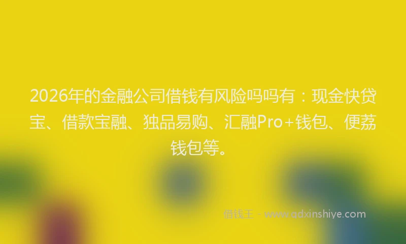 2026年的金融公司借钱有风险吗吗有:现金快贷宝、借款宝融、独品易购、汇融Pro+钱包、便荔钱包等。