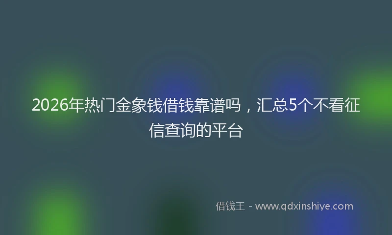 2026年热门金象钱借钱靠谱吗，汇总5个不看征信查询的平台