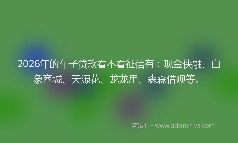 2026年的车子贷款看不看征信有：现金侠融、白象商城、天源花、龙龙用、森森借呗等。