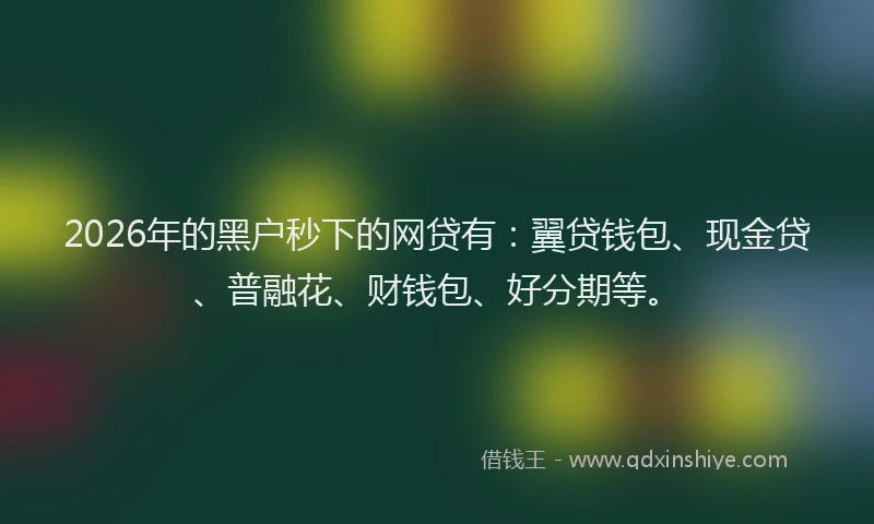 2026年的黑户秒下的网贷有：翼贷钱包、现金贷、普融花、财钱包、好分期等。