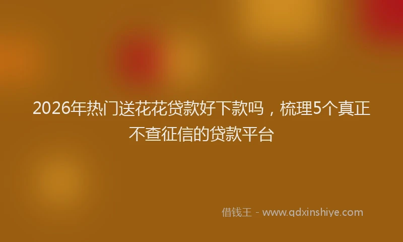 2026年热门送花花贷款好下款吗，梳理5个真正不查征信的贷款平台