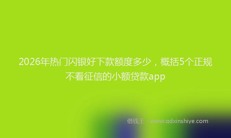 2026年热门闪银好下款额度多少，概括5个正规不看征信的小额贷款app