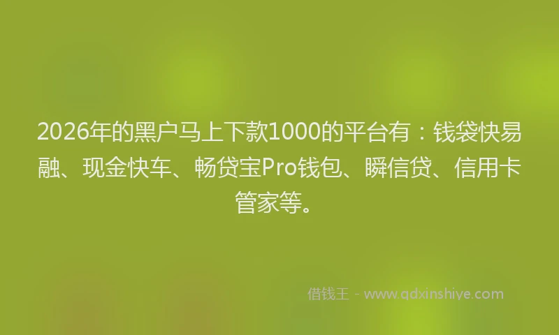 2026年的黑户马上下款1000的平台有:钱袋快易融、现金快车、畅贷宝Pro钱包、瞬信贷、信用卡管家等。