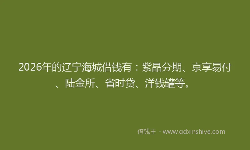 2026年的辽宁海城借钱有:紫晶分期、京享易付、陆金所、省时贷、洋钱罐等。