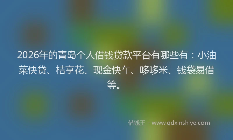 2026年的青岛个人借钱贷款平台有哪些有:小油菜快贷、桔享花、现金快车、哆哆米、钱袋易借等。