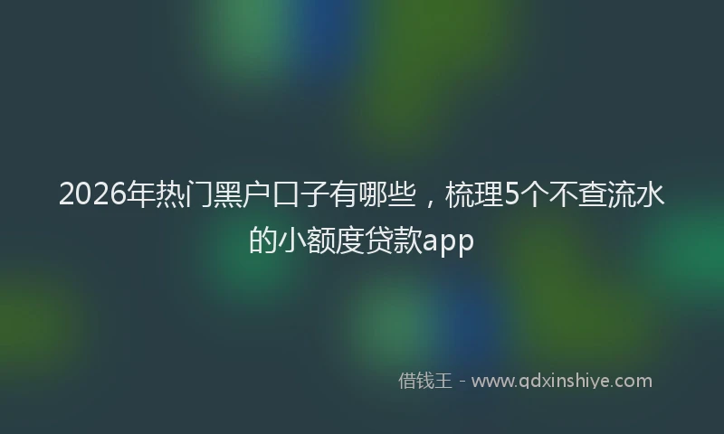 2026年热门黑户口子有哪些，梳理5个不查流水的小额度贷款app
