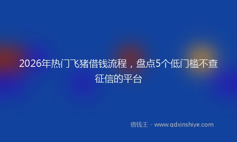 2026年热门飞猪借钱流程，盘点5个低门槛不查征信的平台