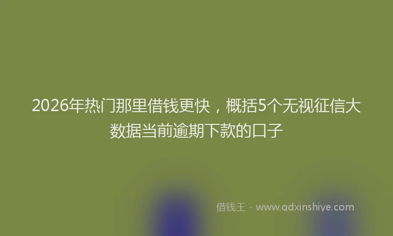 2026年热门那里借钱更快，概括5个无视征信大数据当前逾期下款的口子