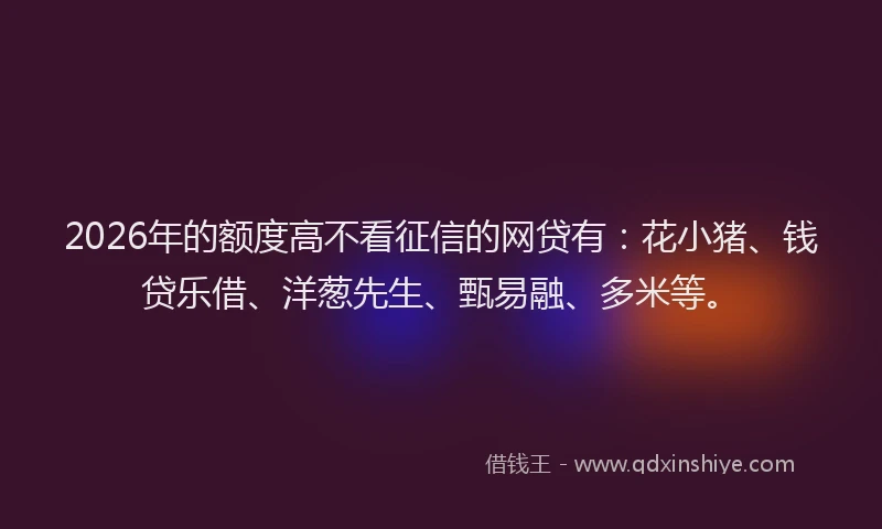 2026年的额度高不看征信的网贷有：花小猪、钱贷乐借、洋葱先生、甄易融、多米等。