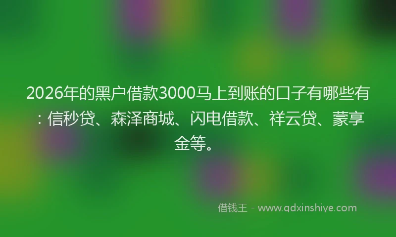 2026年的黑户借款3000马上到账的口子有哪些有：信秒贷、森泽商城、闪电借款、祥云贷、蒙享金等。