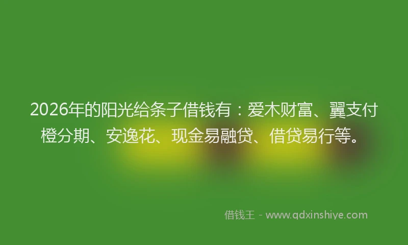 2026年的阳光给条子借钱有：爱木财富、翼支付橙分期、安逸花、现金易融贷、借贷易行等。