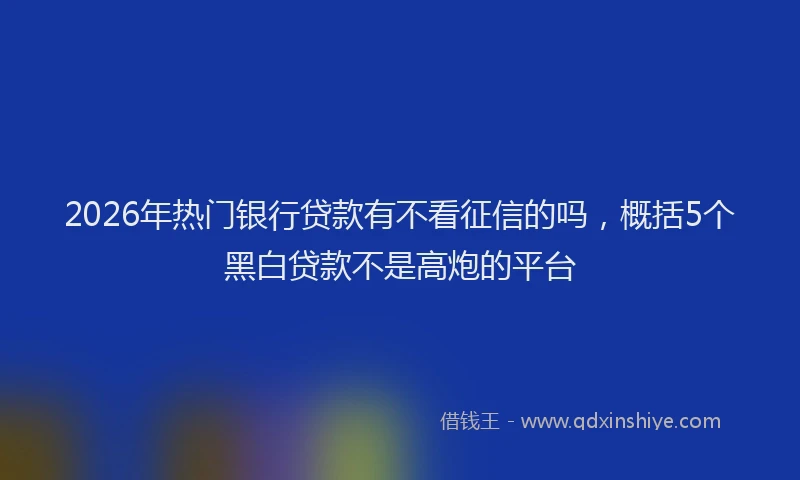 2026年热门银行贷款有不看征信的吗，概括5个黑白贷款不是高炮的平台