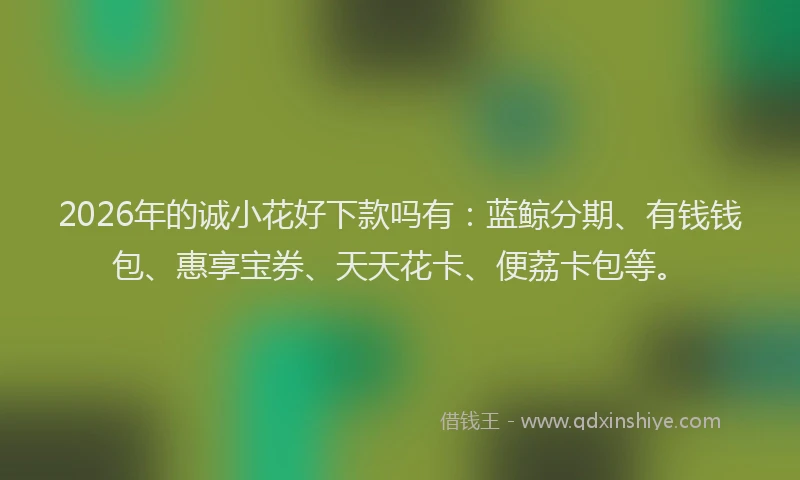 2026年的诚小花好下款吗有：蓝鲸分期、有钱钱包、惠享宝券、天天花卡、便荔卡包等。