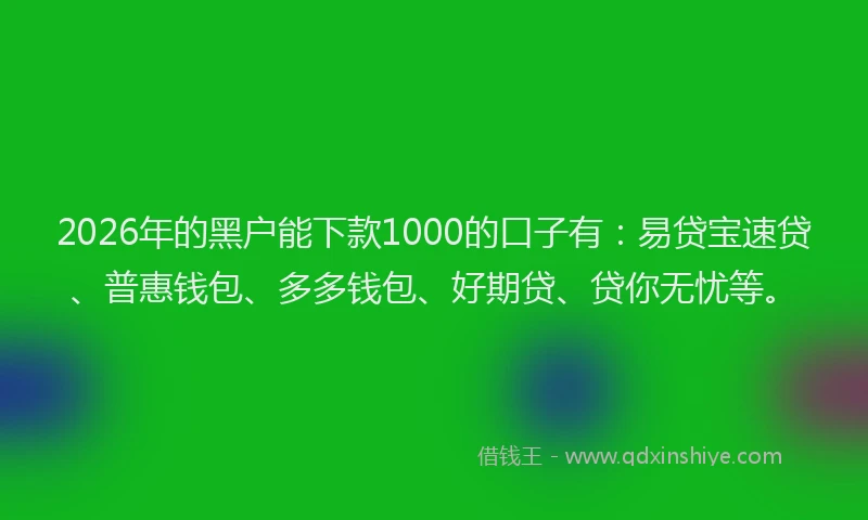 2026年的黑户能下款1000的口子有：易贷宝速贷、普惠钱包、多多钱包、好期贷、贷你无忧等。