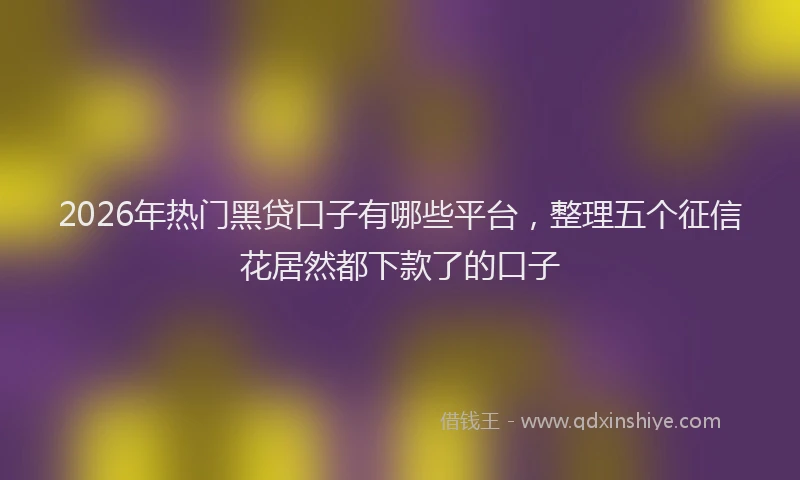 2026年热门黑贷口子有哪些平台，整理五个征信花居然都下款了的口子