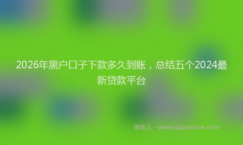 2026年黑户口子下款多久到账，总结五个2024最新贷款平台