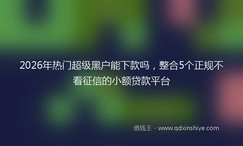 2026年热门超级黑户能下款吗，整合5个正规不看征信的小额贷款平台
