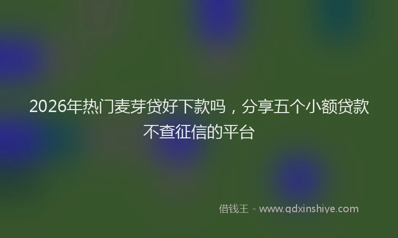 2026年热门麦芽贷好下款吗，分享五个小额贷款不查征信的平台