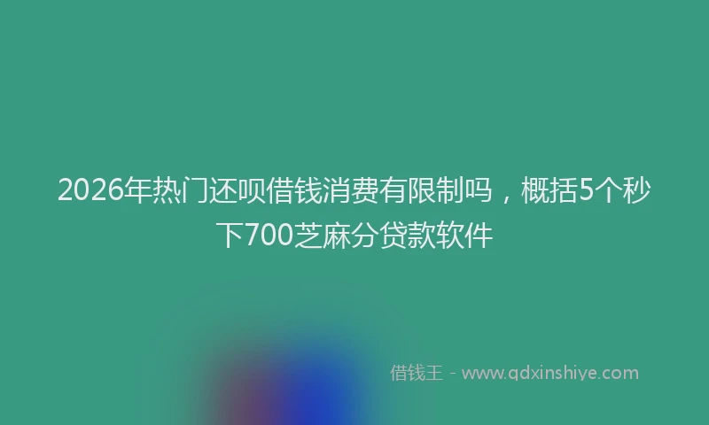 2026年热门还呗借钱消费有限制吗，概括5个秒下700芝麻分贷款软件