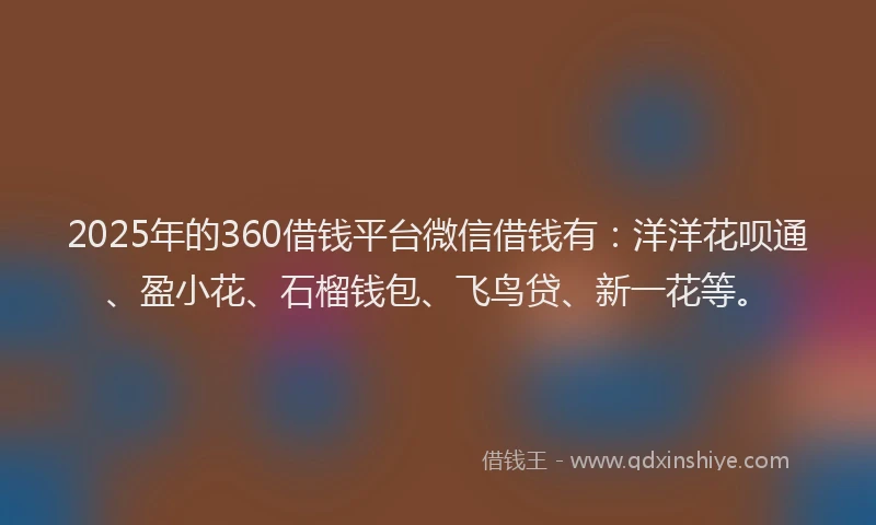 2025年的360借钱平台微信借钱有：洋洋花呗通、盈小花、石榴钱包、飞鸟贷、新一花等。