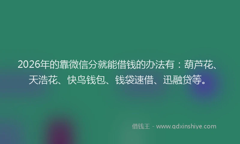2026年的靠微信分就能借钱的办法有:葫芦花、天浩花、快鸟钱包、钱袋速借、迅融贷等。