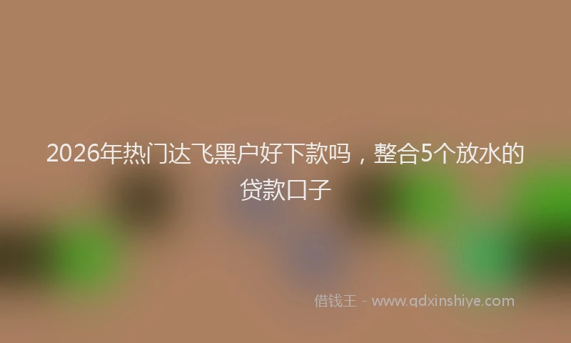 2026年热门达飞黑户好下款吗，整合5个放水的贷款口子