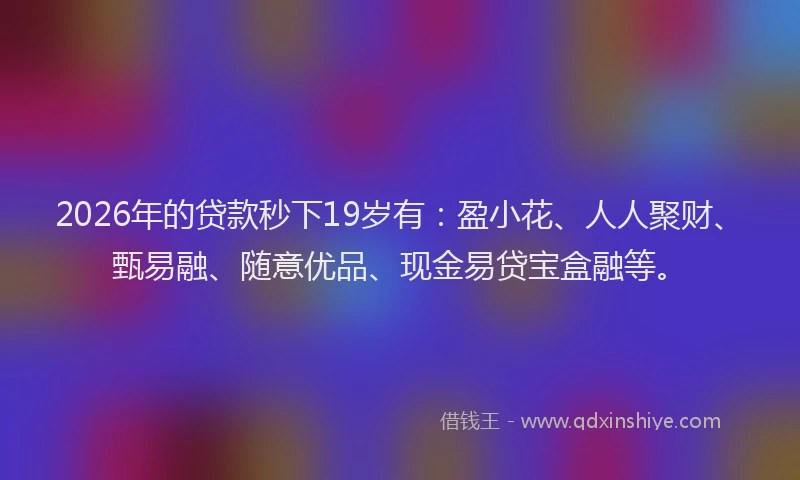 2026年的贷款秒下19岁有：盈小花、人人聚财、甄易融、随意优品、现金易贷宝盒融等。