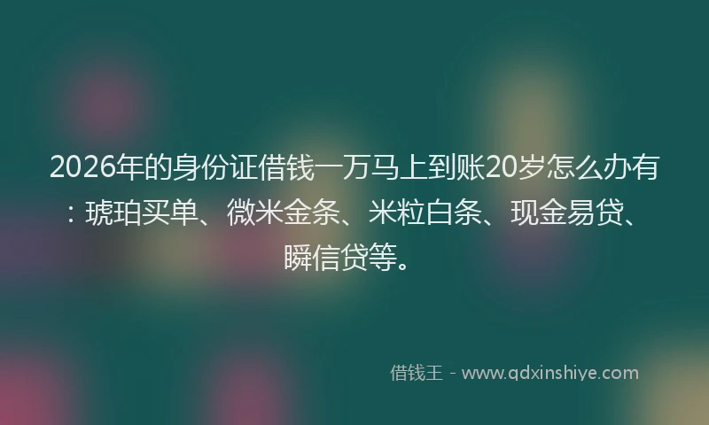 2026年的身份证借钱一万马上到账20岁怎么办有：琥珀买单、微米金条、米粒白条、现金易贷、瞬信贷等。