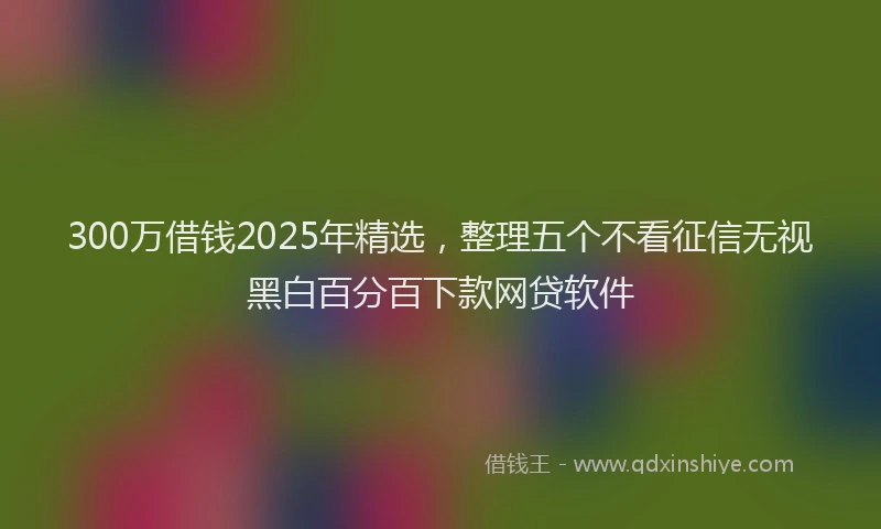 300万借钱2025年精选，整理五个不看征信无视黑白百分百下款网贷软件