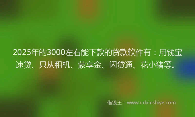 2025年的3000左右能下款的贷款软件有：用钱宝速贷、只从租机、蒙享金、闪贷通、花小猪等。