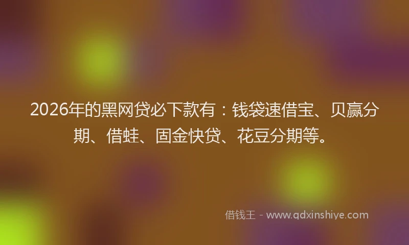 2026年的黑网贷必下款有：钱袋速借宝、贝赢分期、借蛙、固金快贷、花豆分期等。