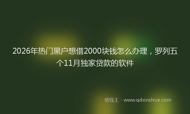 2026年热门黑户想借2000块钱怎么办理，罗列五个11月独家贷款的软件